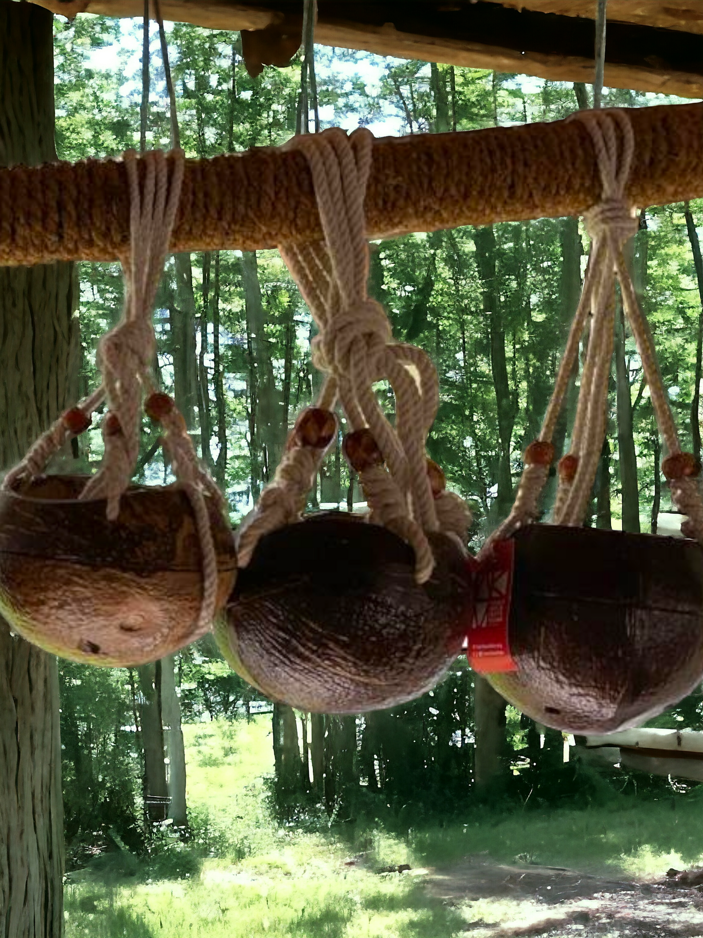 Coconut planters