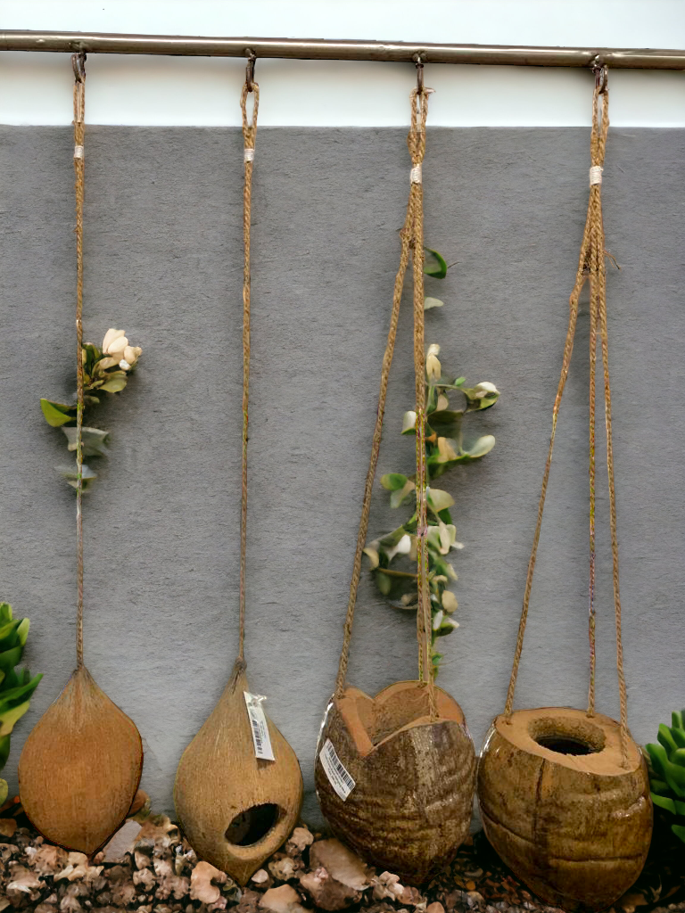 Coconut hanging pots