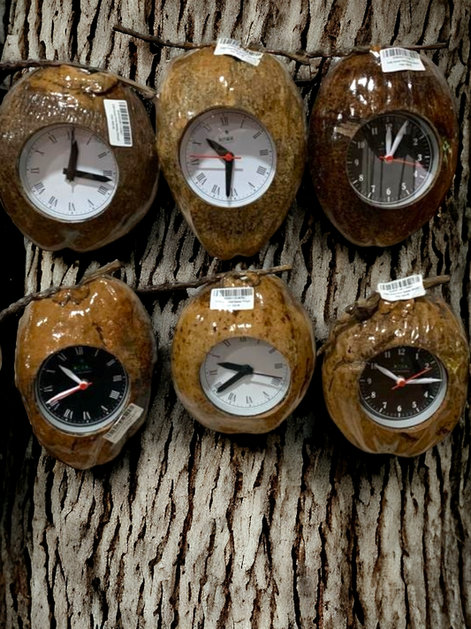 Coconut Wall Clocks