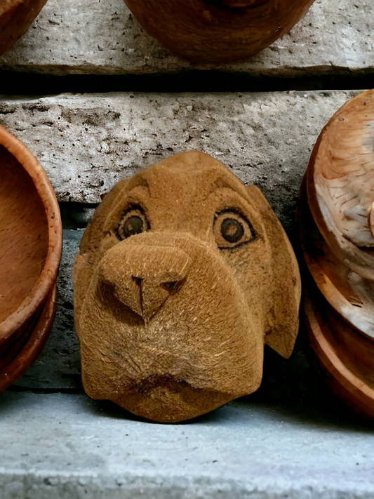 Dog Head made from Coconut