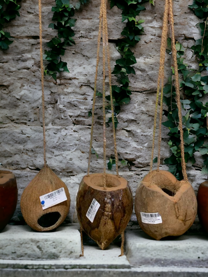 Coconut hanging pots