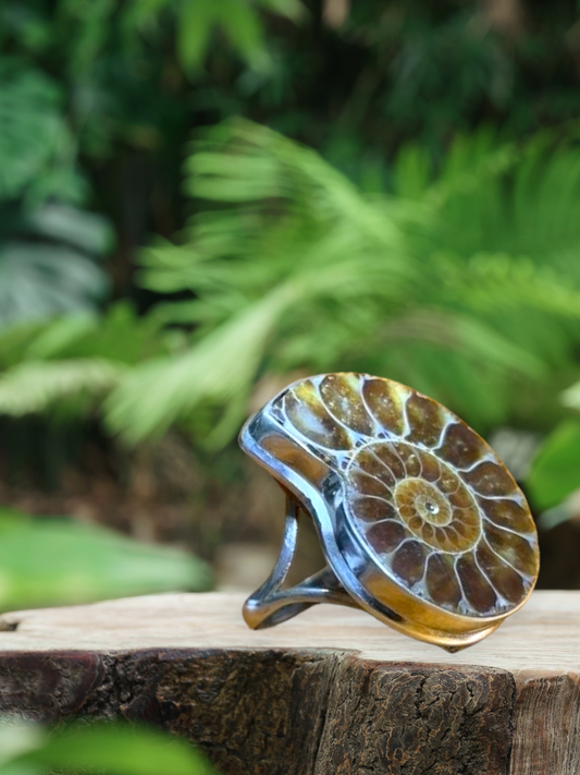 Ammonite Fossil shell ring on Sterling Silver