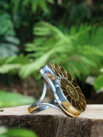Ammonite Fossil shell ring on Sterling Silver