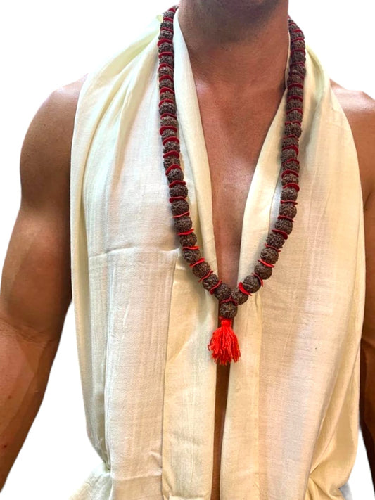 Mystic Rudraksha Beads